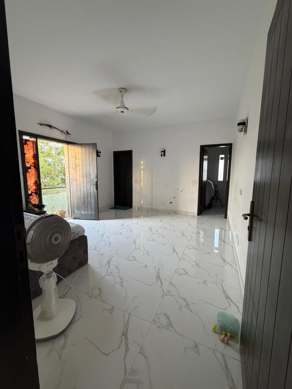 WhatsApp Image 2026-02-14 at 16.31.55