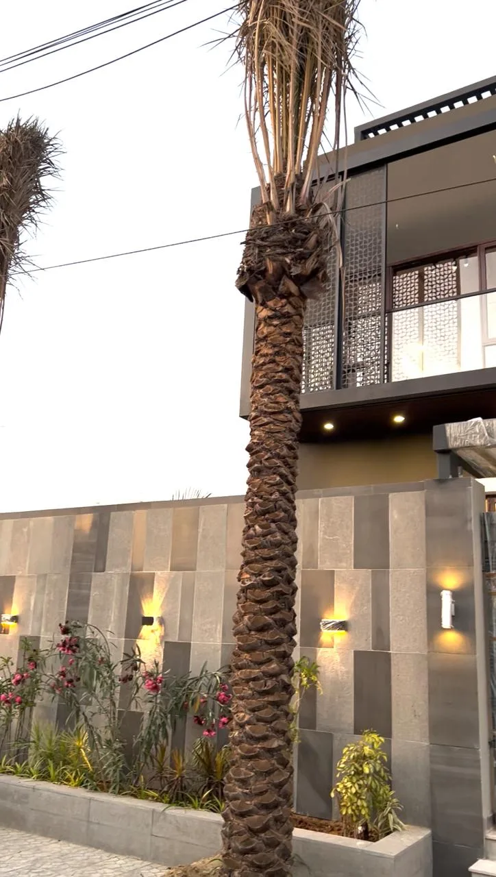 500 Sq Yards House for Sale in Phase 8, DHA Karachi — property photo 5